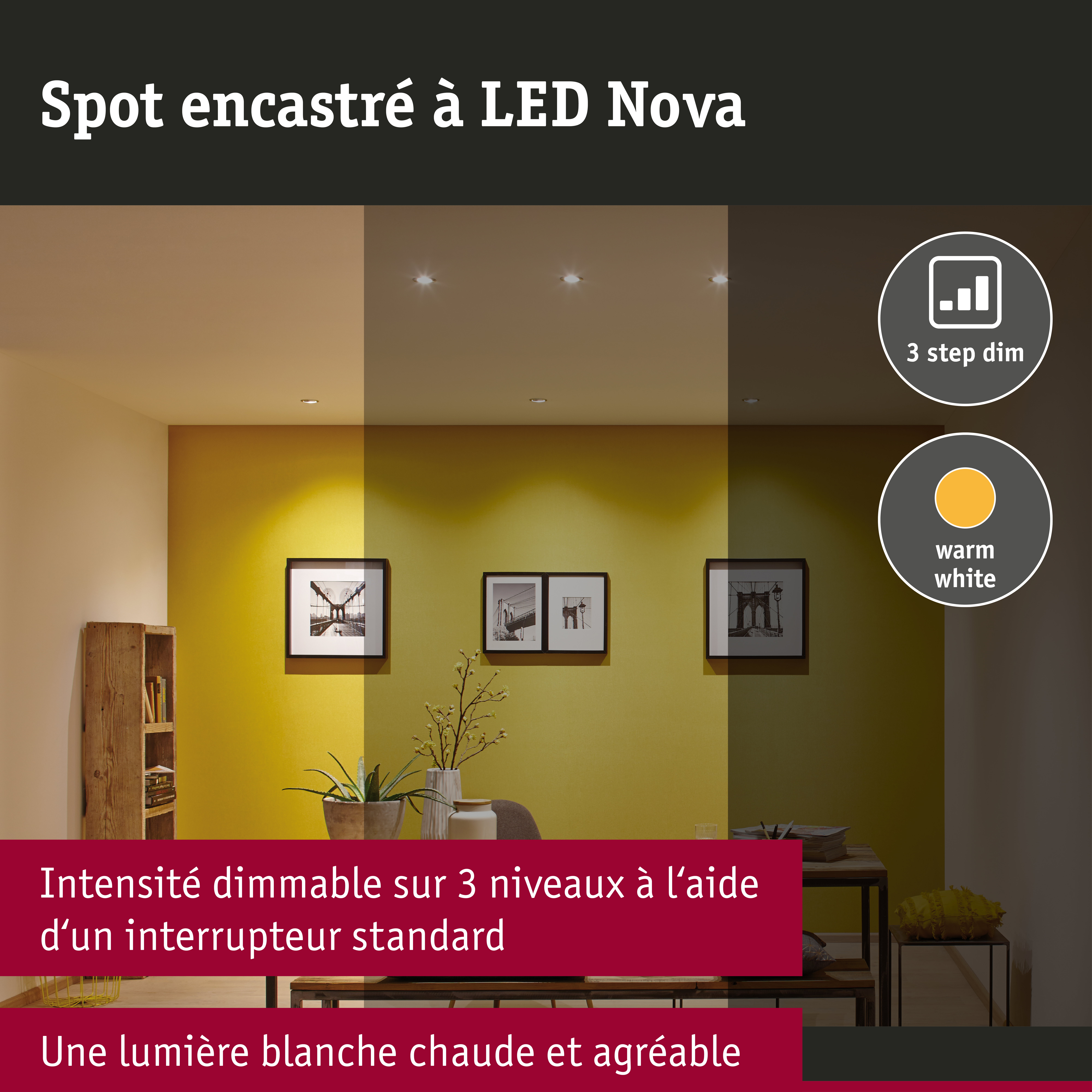 Spot encastré LED 3-Step-Dim Nova Coin fixe IP44 rond 78mm Coin 6W 470lm 230V gradable 2700K Blanc dépoli