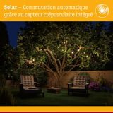 Fauteuils de jardin confortables sous un arbre éclairés par guirlande solaire avec capteur crépusculaire