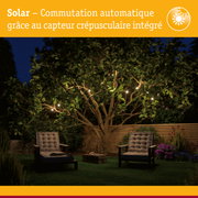 Jardin avec guirlandes solaires sur arbre et fauteuils d'extérieur rembourrés le soir