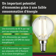 Ampoule LED économique en verre transparent avec base argentée sur fond flou vert et bleu