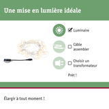 Guirlande LED blanc chaud avec câble noir pour éclairage décoratif intérieur et extérieur