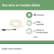 Guirlande LED blanc chaud avec câble noir, montage simple sans transformateur requis
