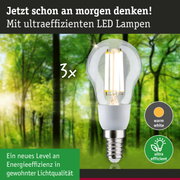 Klarer LED-Leuchtmittel mit warmweißem Licht und hoher Energieeffizienz vor grünem Waldhintergrund