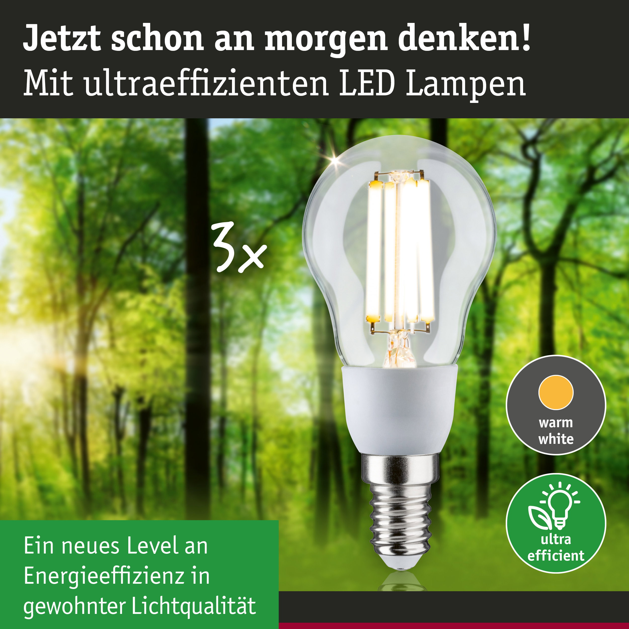 Klarer LED-Leuchtmittel mit warmweißem Licht und hoher Energieeffizienz vor grünem Waldhintergrund