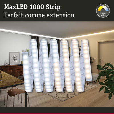 Bande LED MaxLED 1000 avec blanc réglable dans un salon moderne avec éclairage d'ambiance au plafond