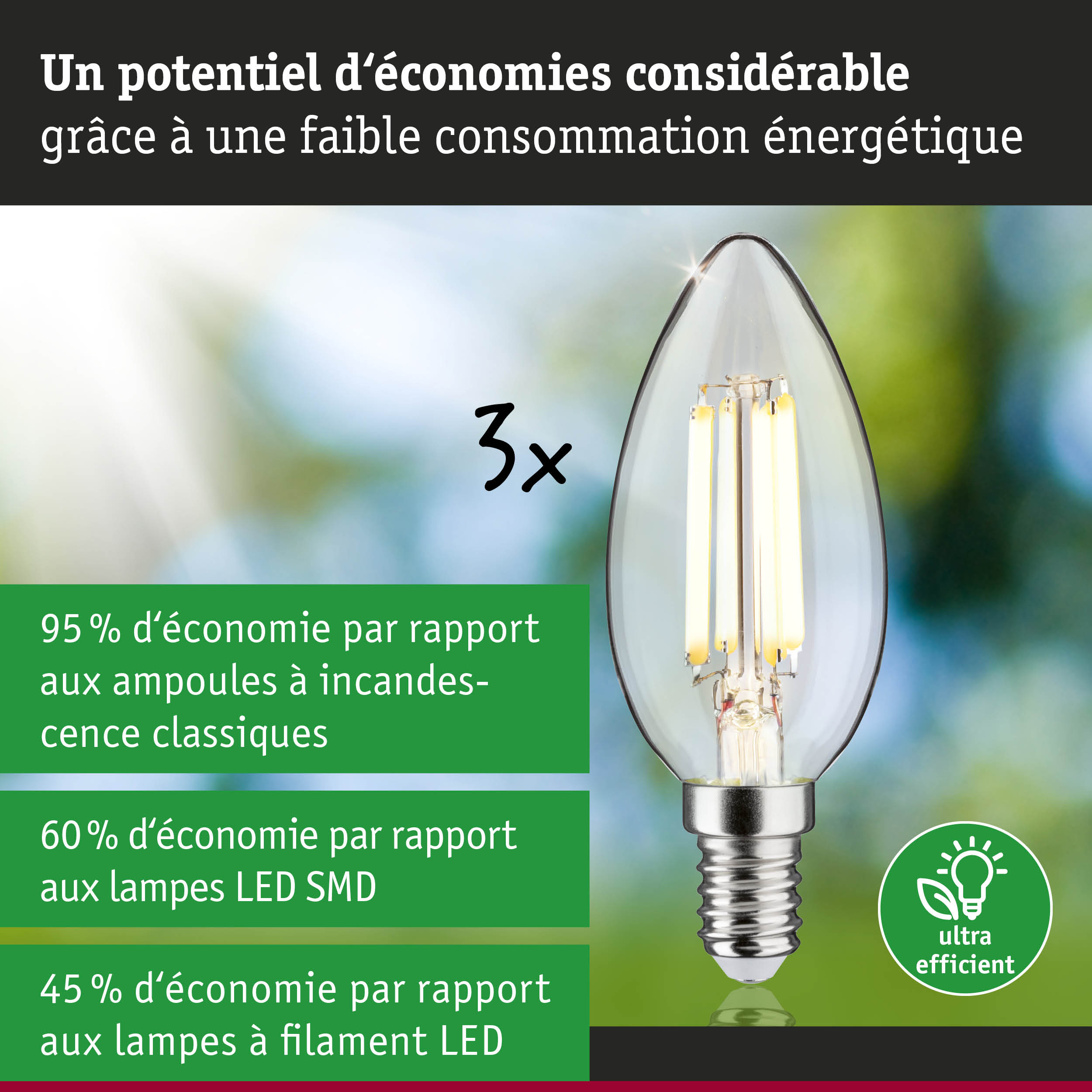 Ampoule LED en forme de bougie avec verre transparent et culot E14 pour un éclairage efficace