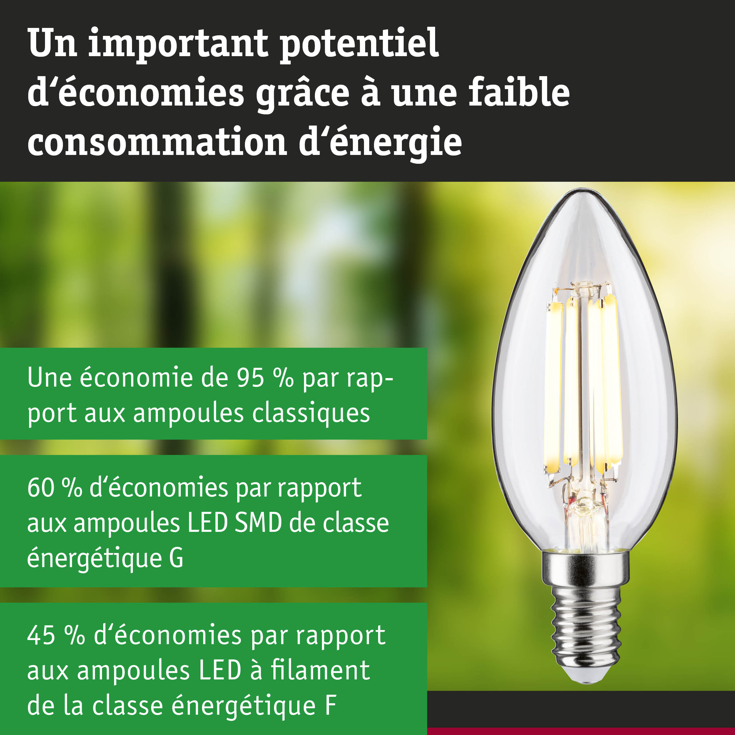 Ampoule LED en forme de bougie avec verre transparent et culot E14 pour un éclairage efficace