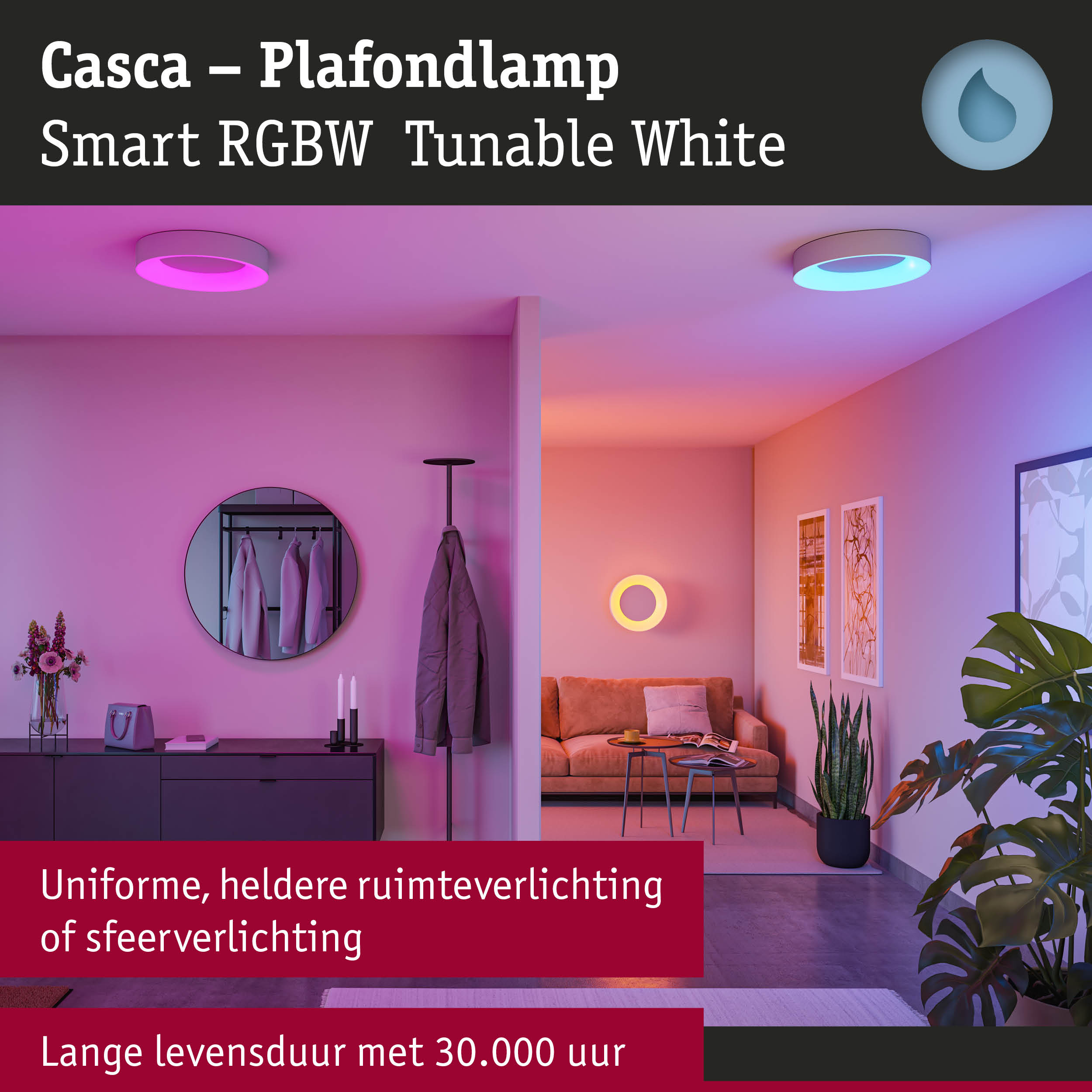 Casca plafondlamp met slimme RGBW wit instelbare verlichting voor sfeervolle ruimteverlichting