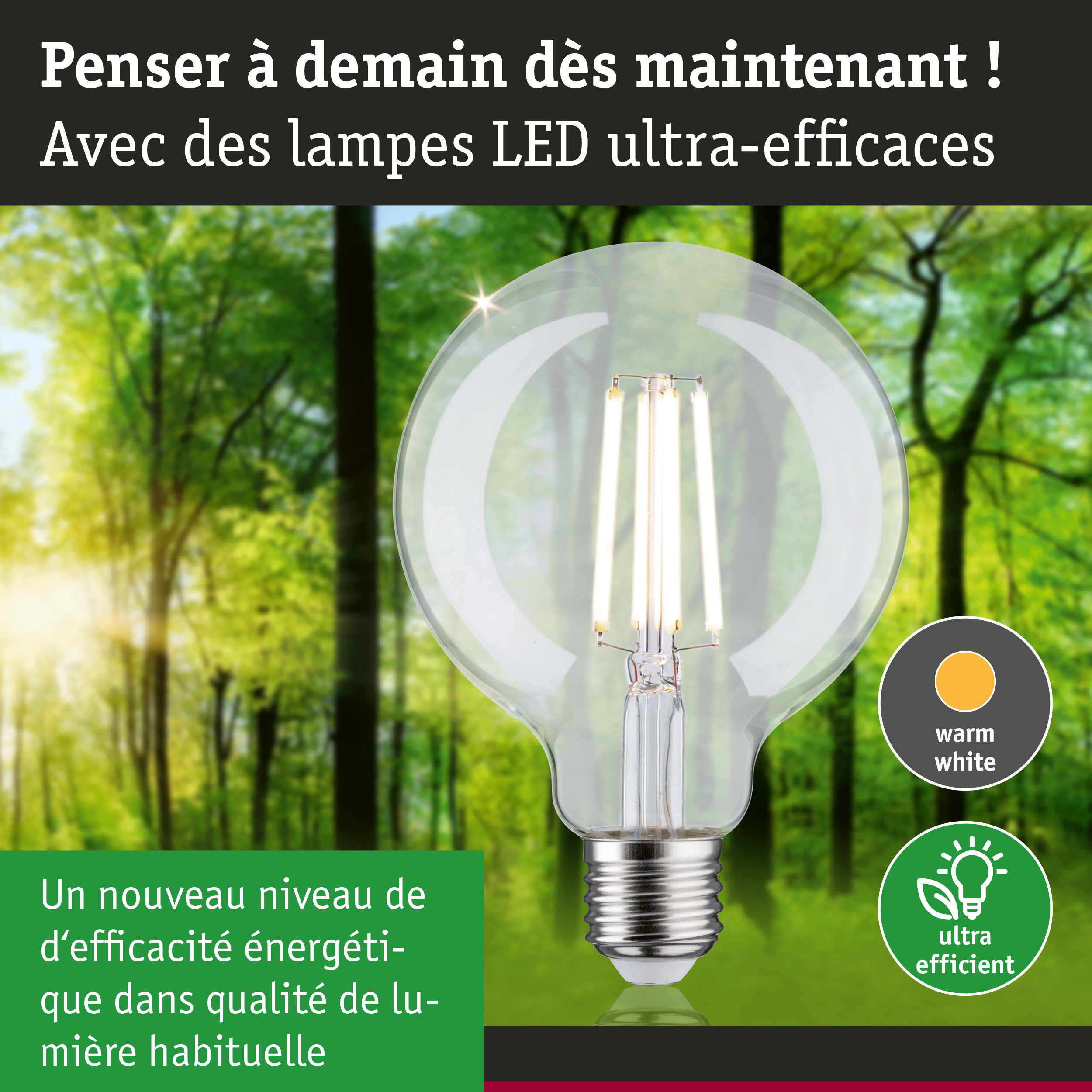 Ampoule LED claire avec lumière blanc chaud et haute efficacité énergétique sur fond de forêt verte