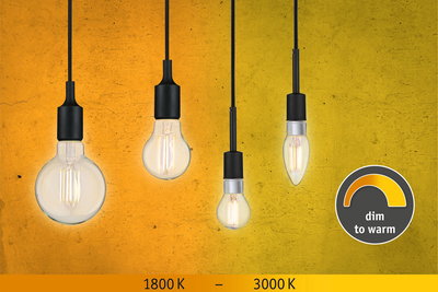 Vier dimmbare LED-Glühbirnen mit warmweißem Licht von 1800K bis 3000K an schwarzem Kabel vor gelbem Hintergrund