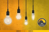 Vier dimmbare LED-Glühbirnen mit warmweißem Licht von 1800K bis 3000K an schwarzem Kabel vor gelbem Hintergrund
