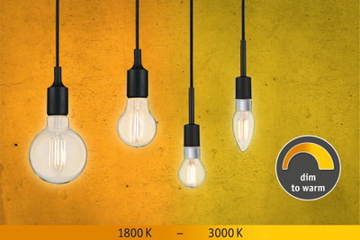 Vier dimmbare LED-Glühbirnen mit warmweißem Licht von 1800K bis 3000K an schwarzem Kabel vor gelbem Hintergrund
