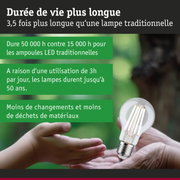 Ampoule LED à longue durée de vie tenue en main, éclairage LED économique et durable
