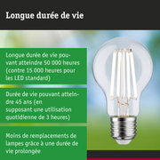 Ampoule LED à longue durée de vie tenue en main, éclairage LED économique et durable