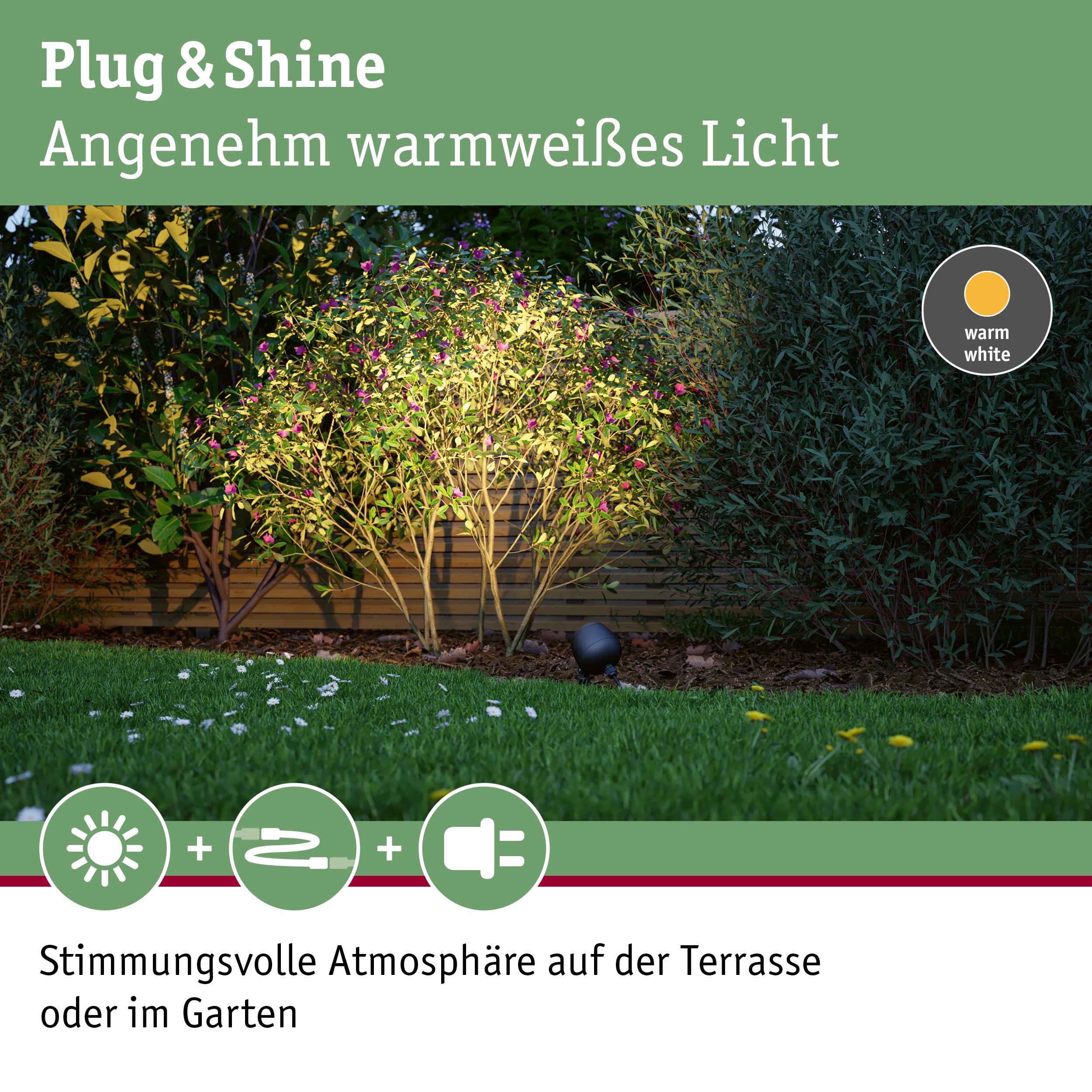Außenstrahler mit warmweißem Licht beleuchtet Gartenpflanzen für stimmungsvolle Terrasse und Gartenbeleuchtung