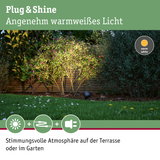 Außenstrahler mit warmweißem Licht beleuchtet Gartenpflanzen für stimmungsvolle Terrasse und Gartenbeleuchtung