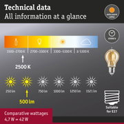 Technical data for extra warm white LED bulb with 2500 K color temperature and 15000 hours lifespan
