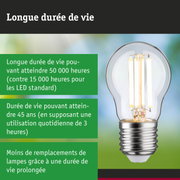 Ampoule LED à longue durée de vie tenue en main sur fond vert, concept d'éclairage économique