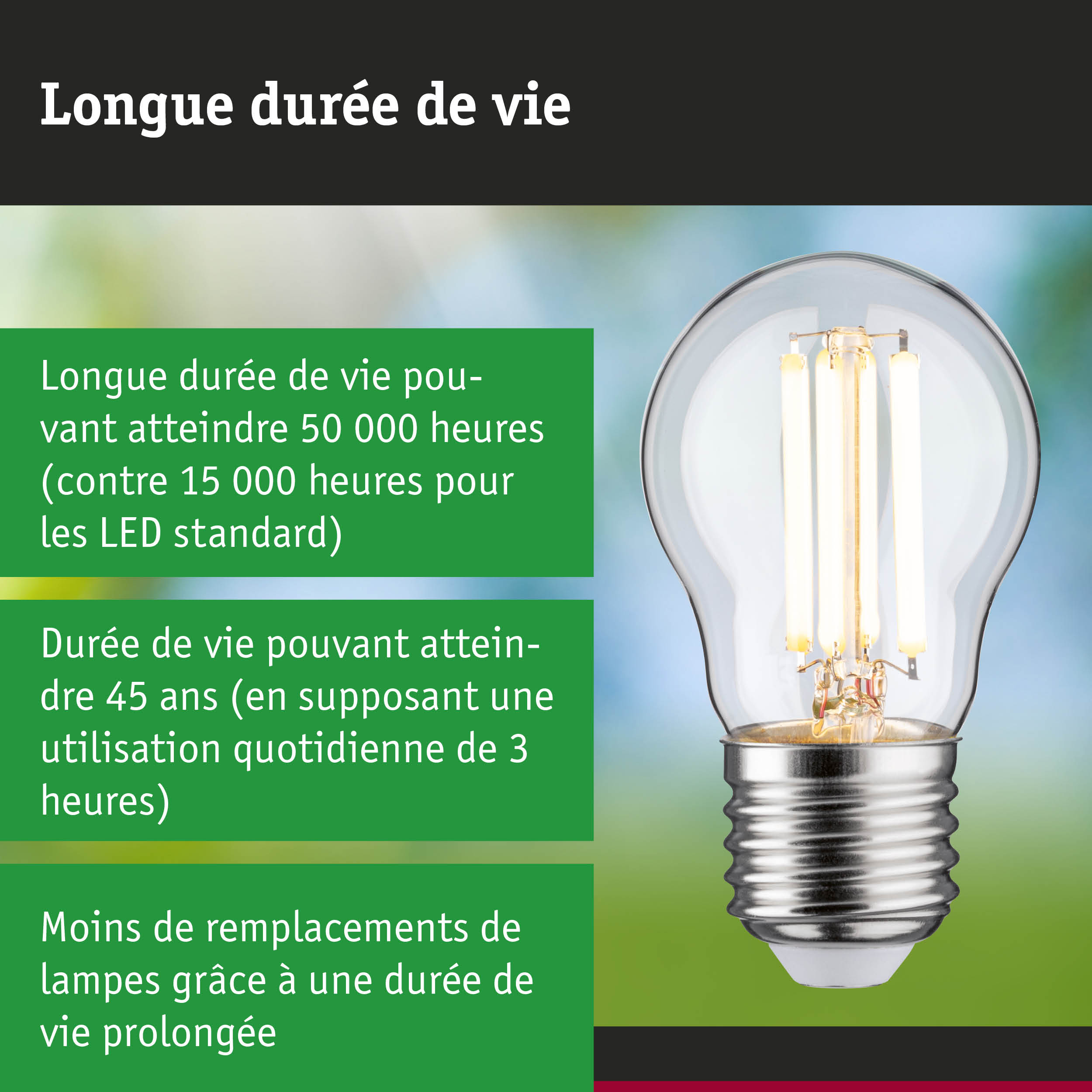Ampoule LED à longue durée de vie tenue en main sur fond vert, concept d'éclairage économique