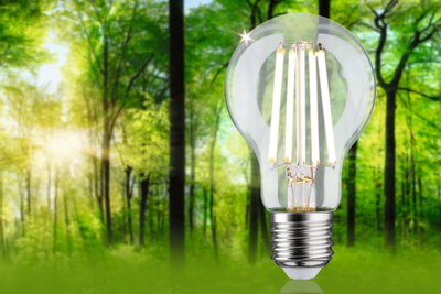 LED-pære med klart glas og synlige filamenter foran grøn skovbaggrund til energieffektiv belysning