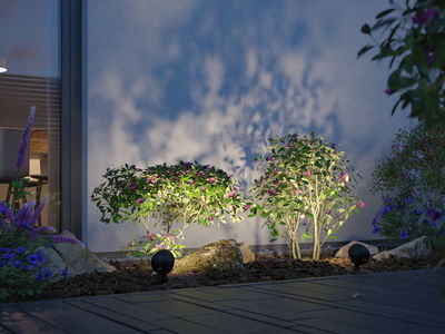Two black LED garden spotlights illuminate green shrubs with purple flowers by house wall at dusk