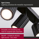 Black Spot Lirena with rotatable and swivelling lamp head for precise light alignment