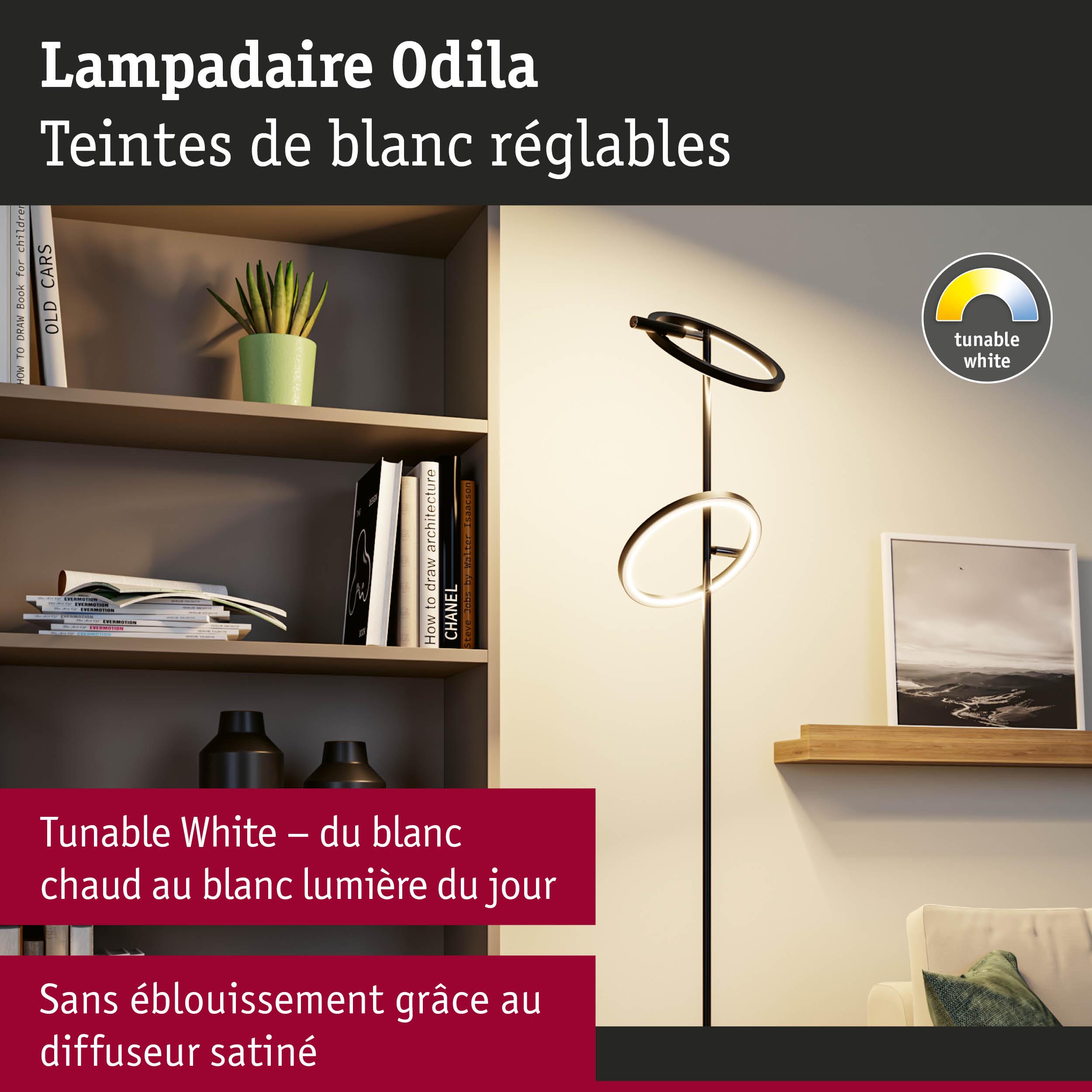 Lampadaire noir Odila avec teintes de blanc réglables et diffuseur satiné dans un salon moderne