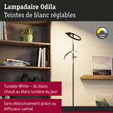 Lampadaire noir Odila avec teintes de blanc réglables et diffuseur satiné dans un salon moderne
