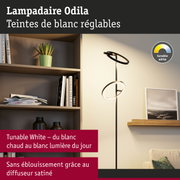Lampadaire Odila noir moderne avec teintes de blanc réglables pour éclairage salon