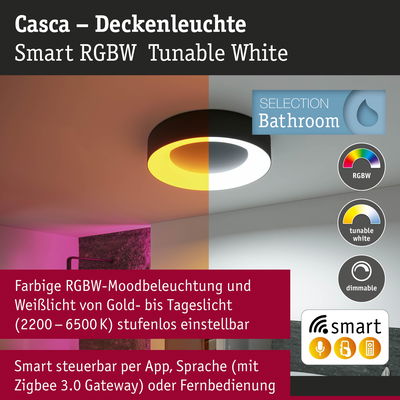 Casca Deckenleuchte in Schwarz mit einstellbarer RGBW-Farb- und Weißlichtsteuerung für Badezimmer.