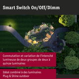 Chemin de jardin avec bassin et éclairage extérieur, interrupteur intelligent dimmable pour Plug & Shine outdoor