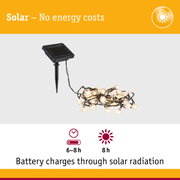 Solar-powered LED string lights with black solar panel and energy-saving illumination