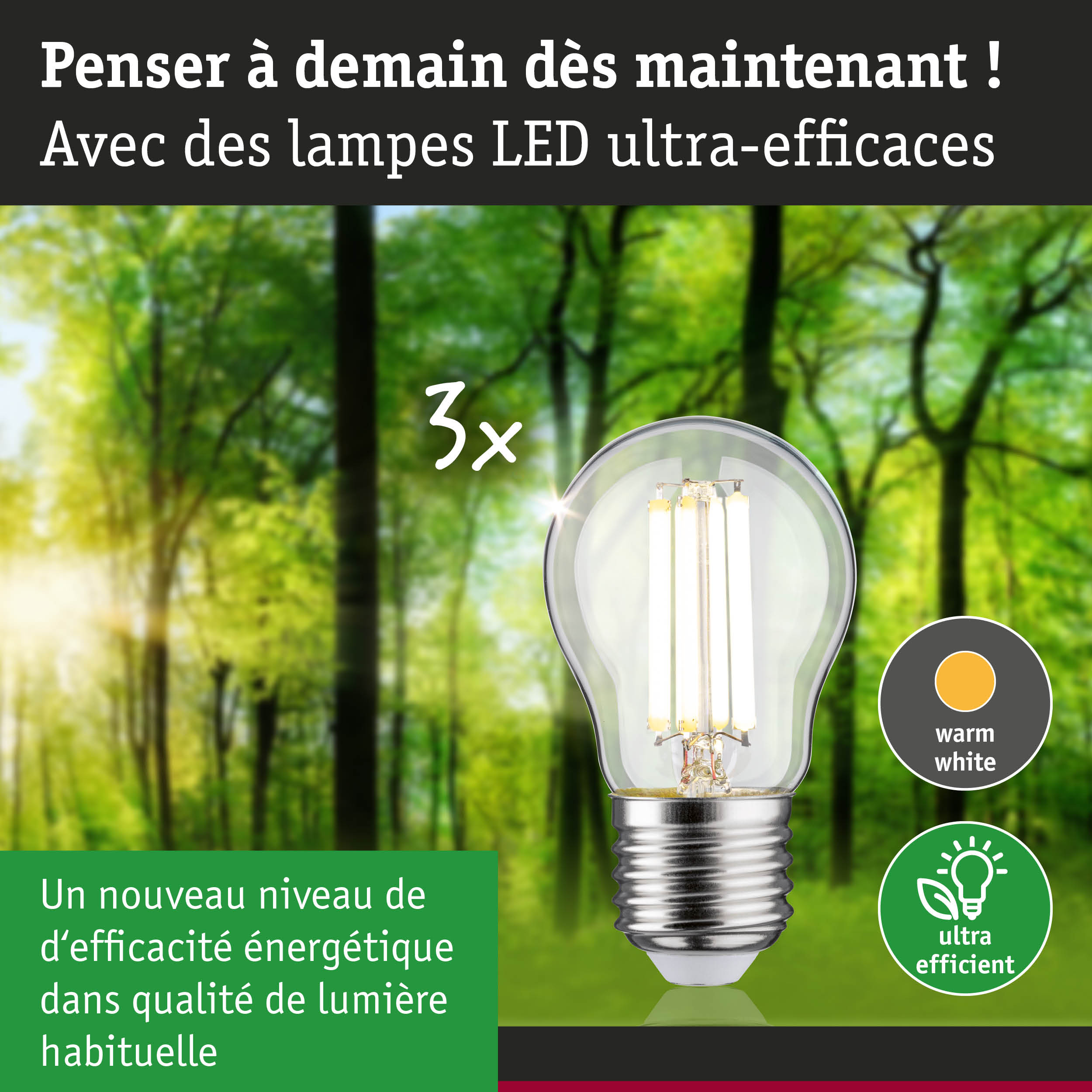 Ampoule LED lumière blanc chaud ultra efficace énergétiquement sur fond de forêt verte