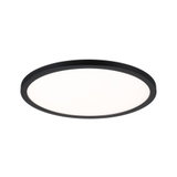 Round ceiling light with black metal frame and white diffuser for modern room lighting