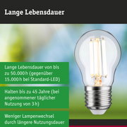 Hand hält LED-Glühbirne vor grünem Hintergrund mit Text zu längerer Lebensdauer und Nachhaltigkeit