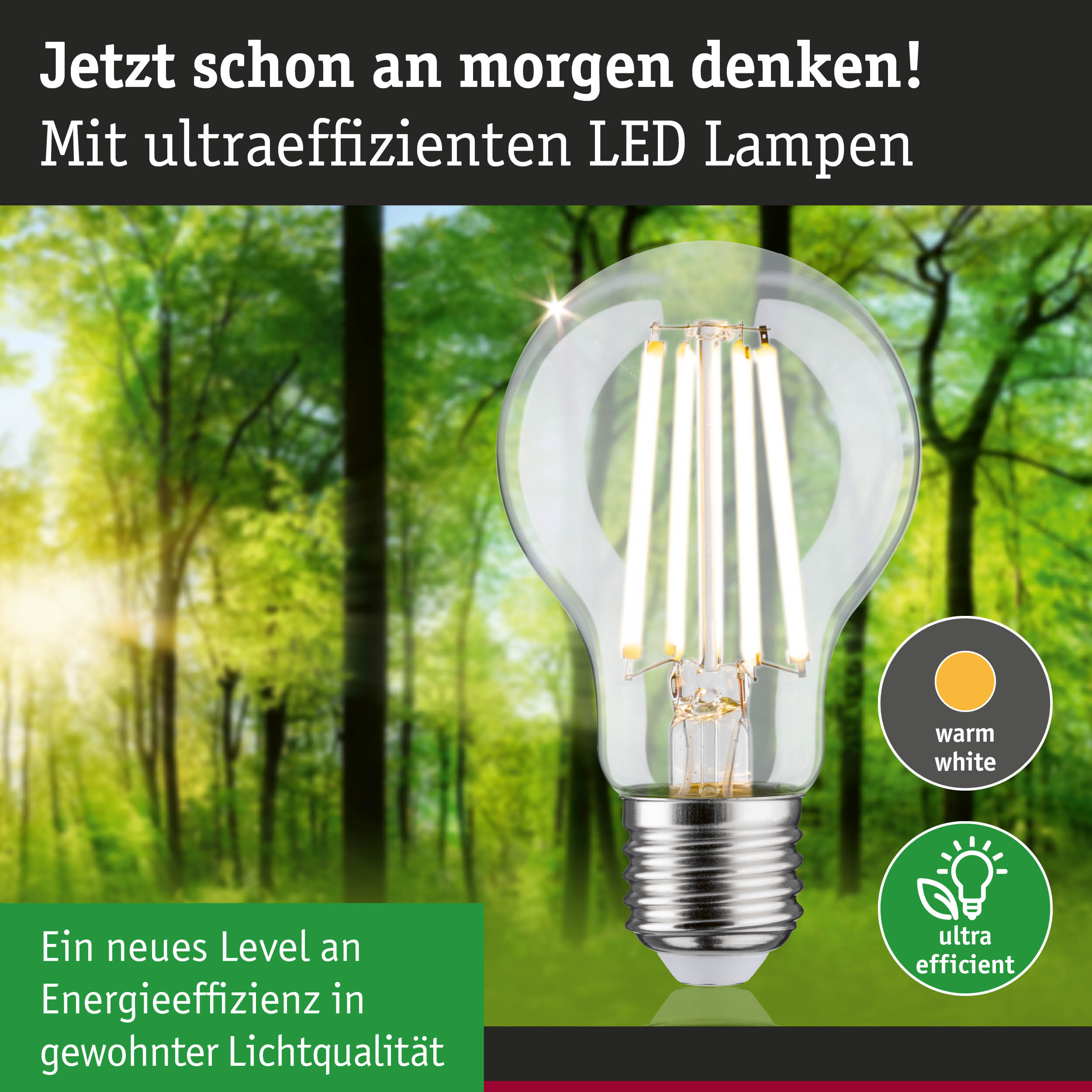 Klarer LED-Leuchtmittel mit warmweißem Licht und hoher Energieeffizienz vor grünem Waldhintergrund