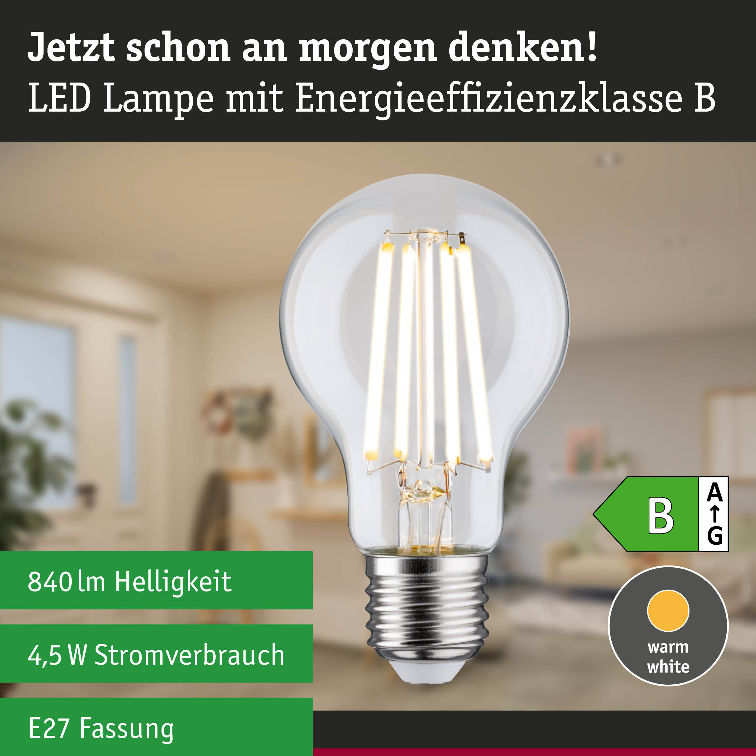 Klarer LED-Leuchtmittel mit warmweißem Licht und hoher Energieeffizienz vor grünem Waldhintergrund