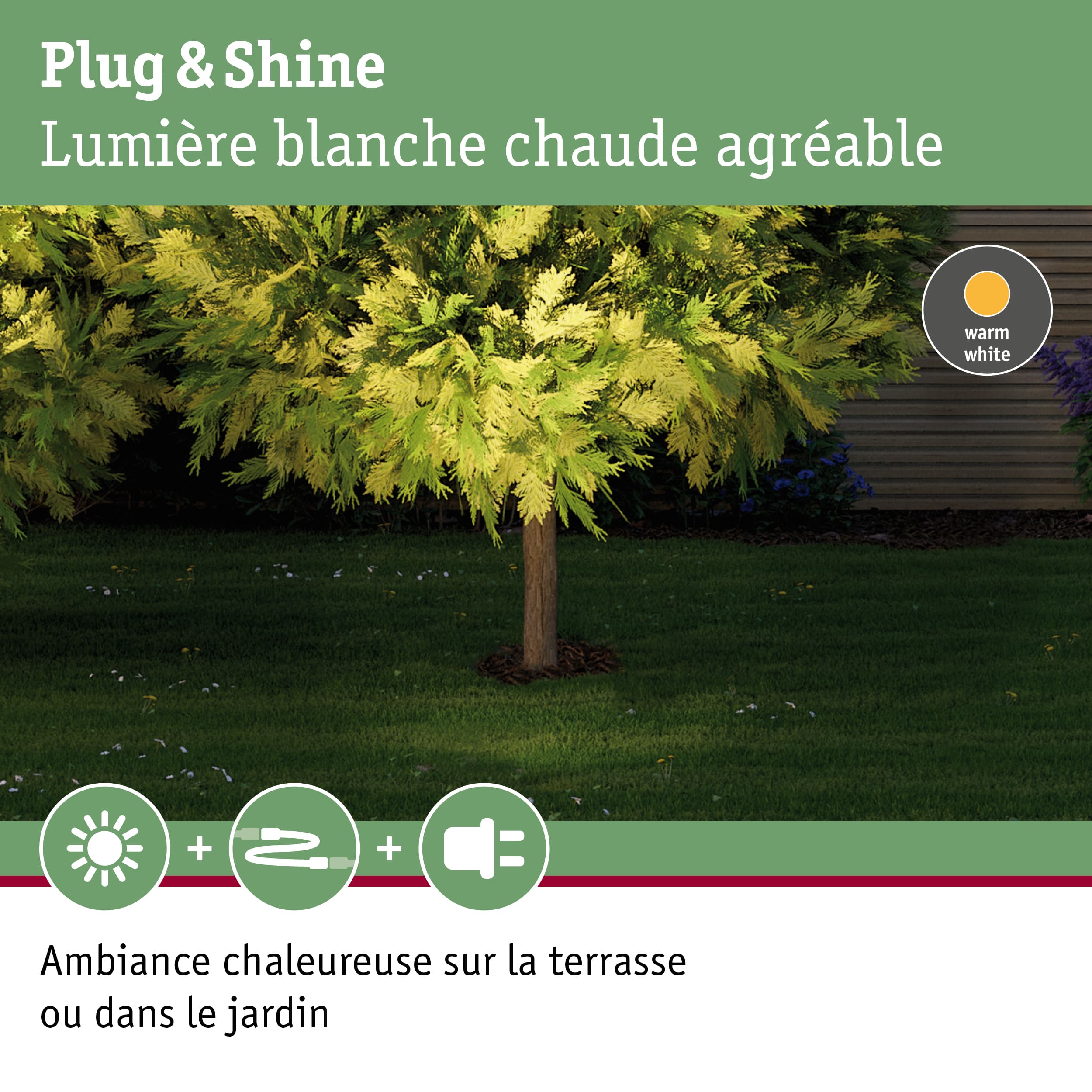 Arbre vert de jardin éclairé par une lumière blanche chaude pour une ambiance extérieure