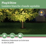 Arbre vert de jardin éclairé par une lumière blanche chaude pour une ambiance extérieure