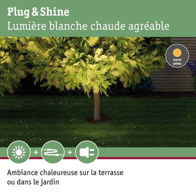 Arbre vert de jardin éclairé par une lumière blanche chaude pour une ambiance extérieure