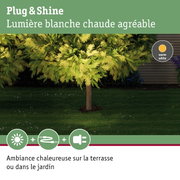 Arbre vert de jardin éclairé par une lumière blanche chaude pour une ambiance extérieure