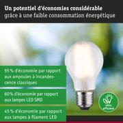 Ampoule basse consommation avec verre blanc et base métallique illustrant une haute efficacité énergétique