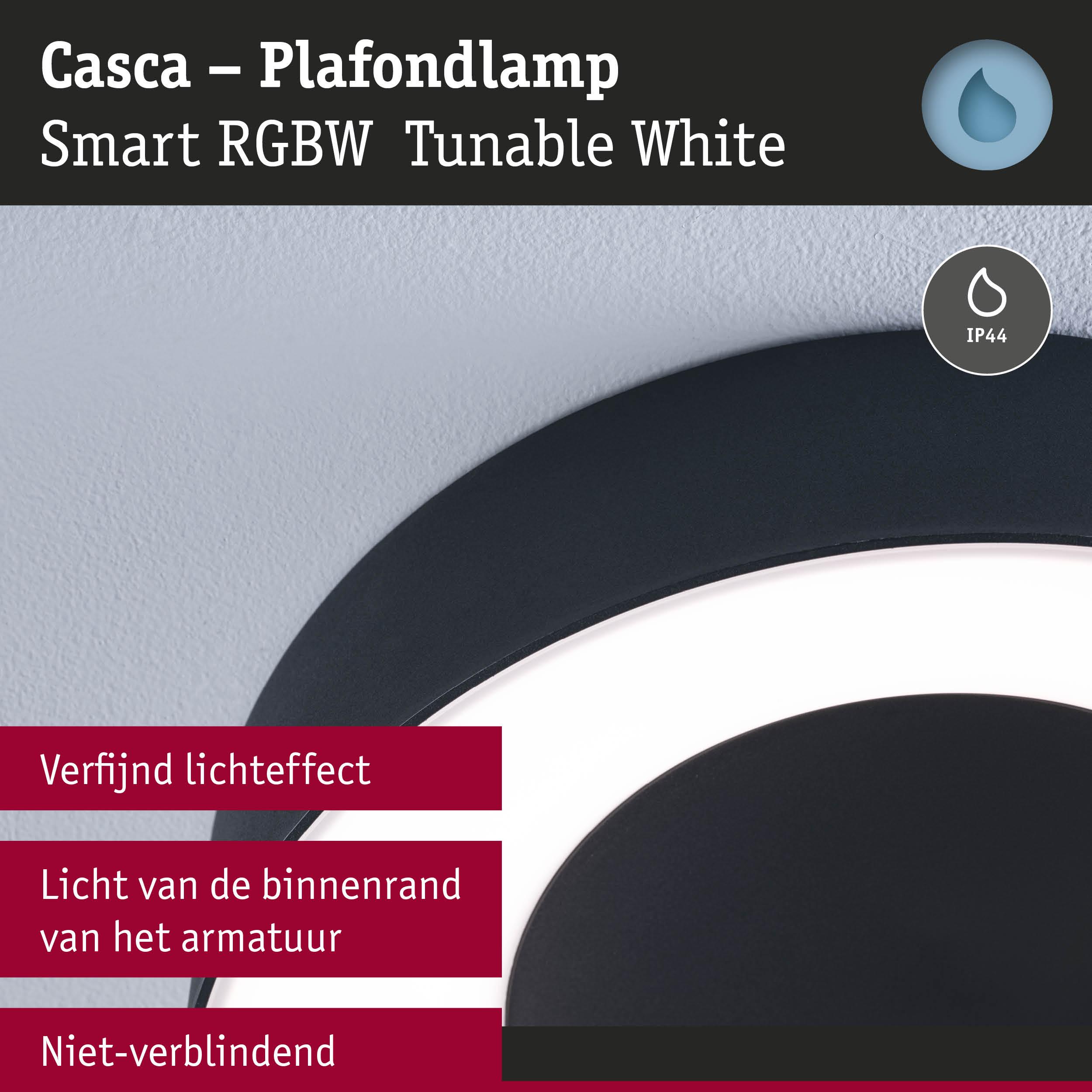 Casca zwarte plafondlamp met wit smart RGBW-licht en IP44 bescherming voor binnenverlichting