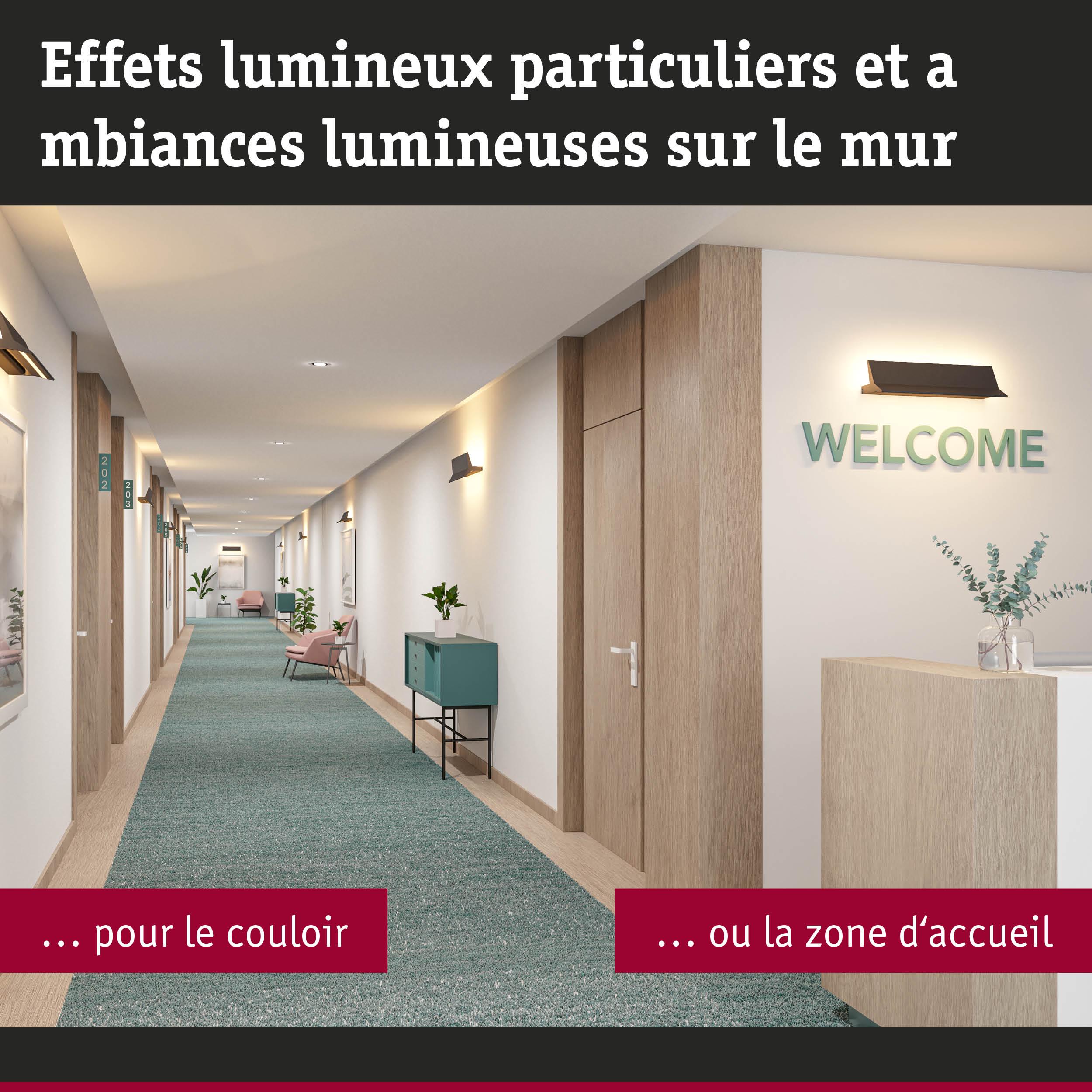 Couloir moderne avec décor bois, tapis vert et appliques murales pour une ambiance lumineuse en zone d'accueil