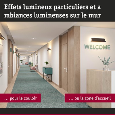 Couloir moderne avec décor bois, tapis vert et appliques murales pour une ambiance lumineuse en zone d'accueil