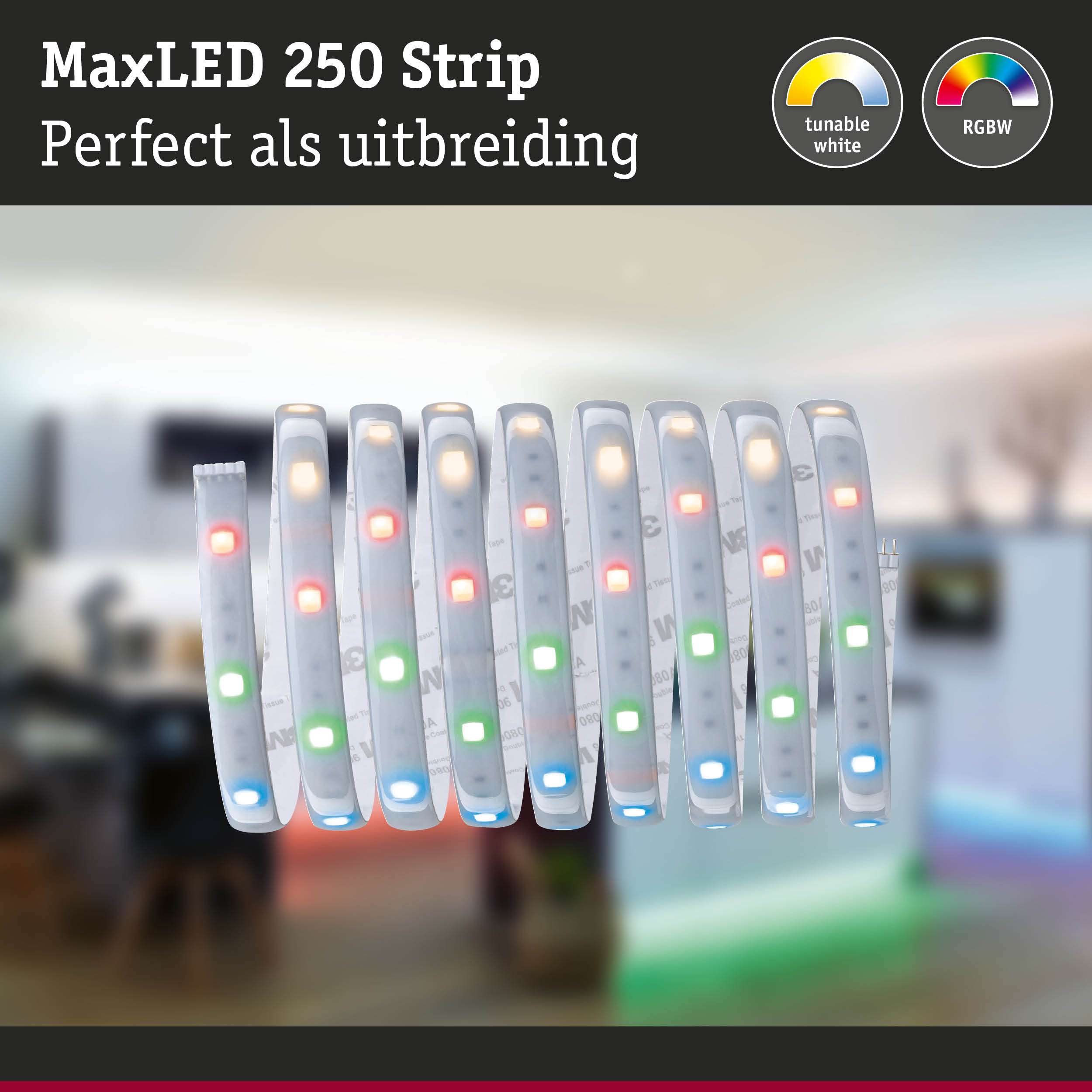 MaxLED 250 LED-strip met instelbaar wit en RGBW-kleuren voor veelzijdige verlichting