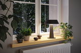 Modern black metal table lamp on windowsill with green plants and radiator below in cozy room