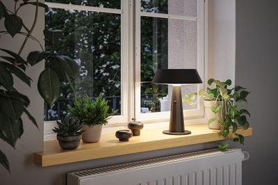 Modern black metal table lamp on windowsill with green plants and radiator below in cozy room