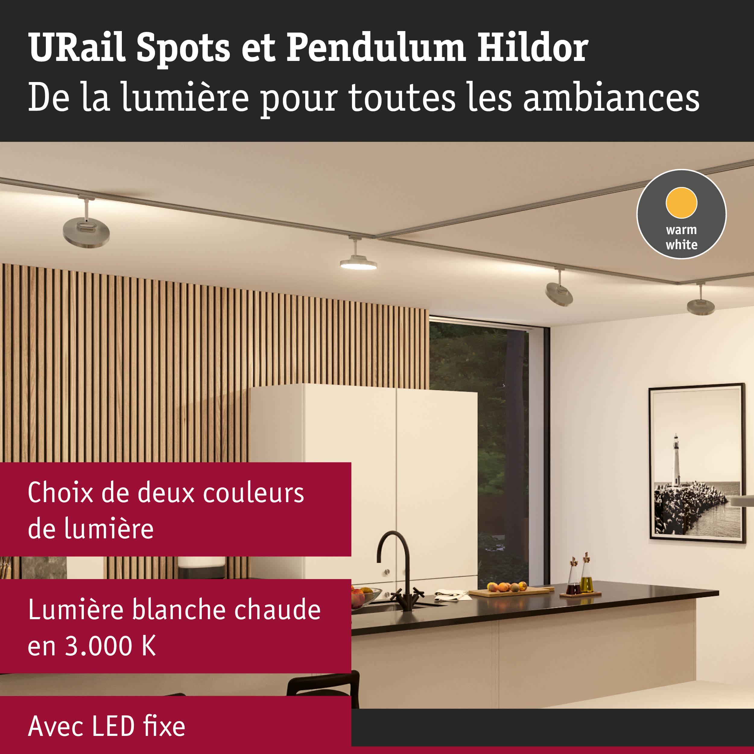 Spots LED fixes en blanc chaud au plafond d'une cuisine moderne avec mur en bois et îlot central