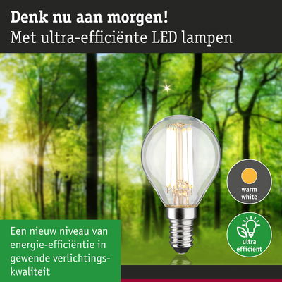 Heldere LED-lamp met warm wit licht en ultra-efficiënt energieverbruik tegen groene bosachtergrond